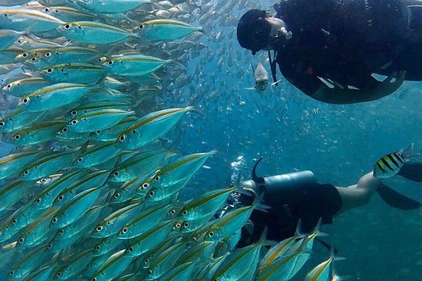 Full-Day Beginner Scuba Course with Private Tuition, Racha Yai 2