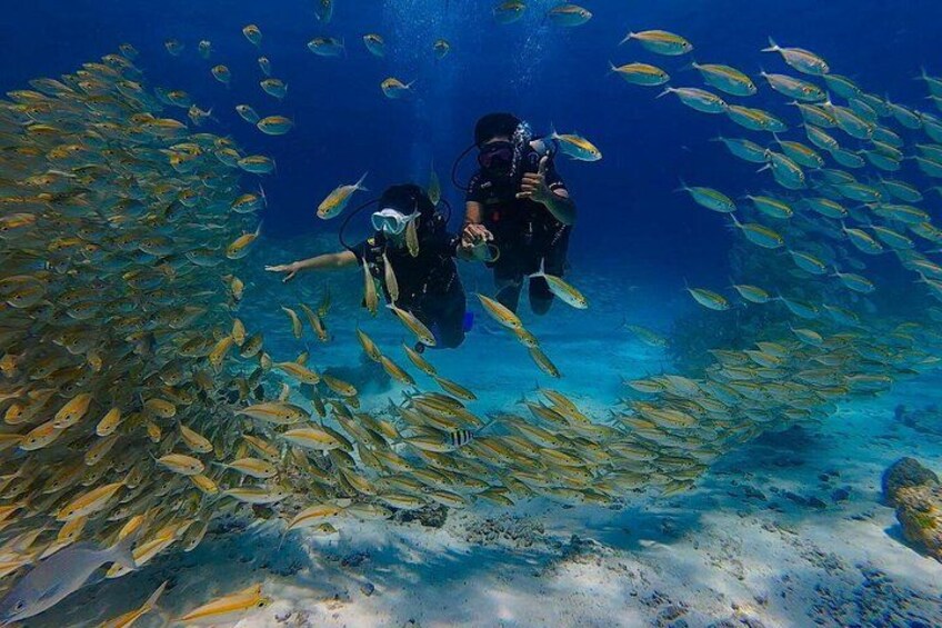 Full-Day Beginner Scuba Course with Private Tuition, Racha Yai 4