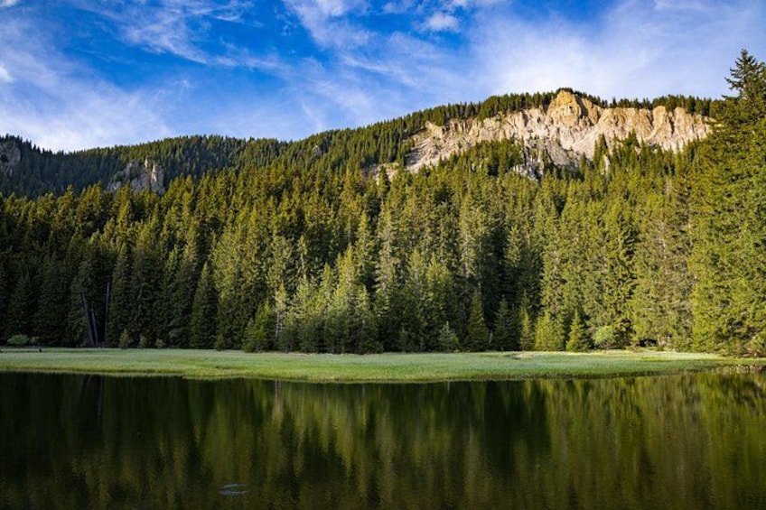 A calm lake surrounded by dense forest and a mountain. 4
