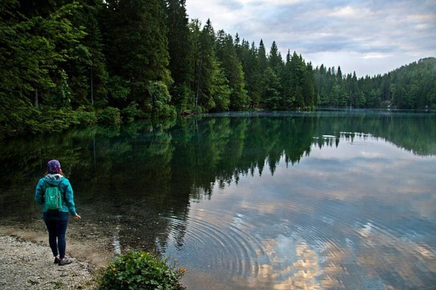 A person walking along a lakeshore with dense forest in the background. 3