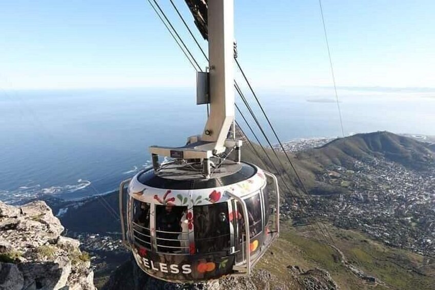 Table Mountain,Cape Point & Penguins Shared Tour, From Cape Town 5