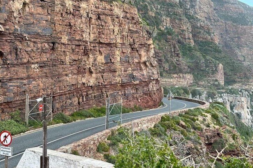 Table Mountain,Cape Point & Penguins Shared Tour, From Cape Town 3