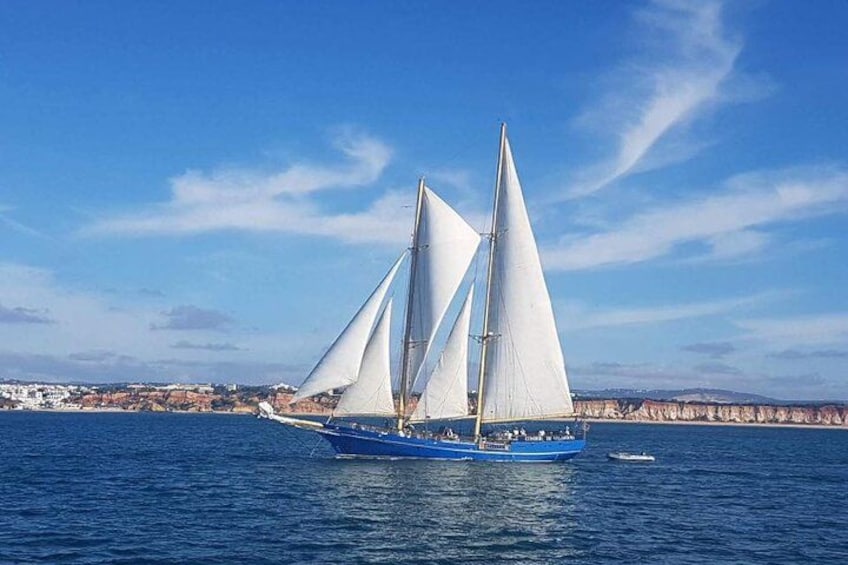 Condor de Vilamoura 1