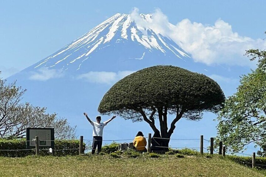 Hike Hakone Hachiri with certified mountain guide