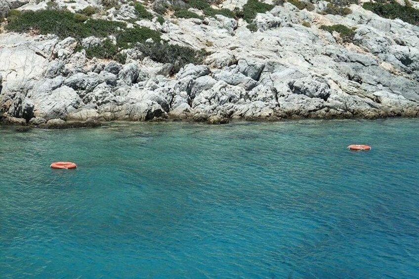 Half Day Snorkelling Experience with a dive boat in Kos Greece 3