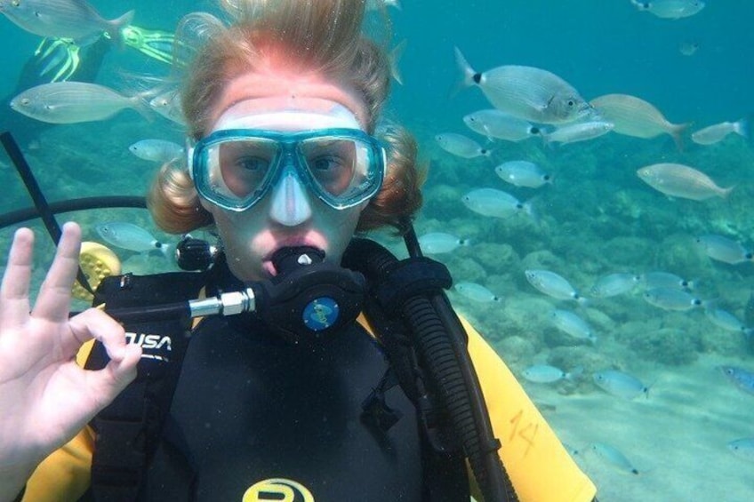 Kos: Beginner Scuba Diving Experience in Pserimos Island 4