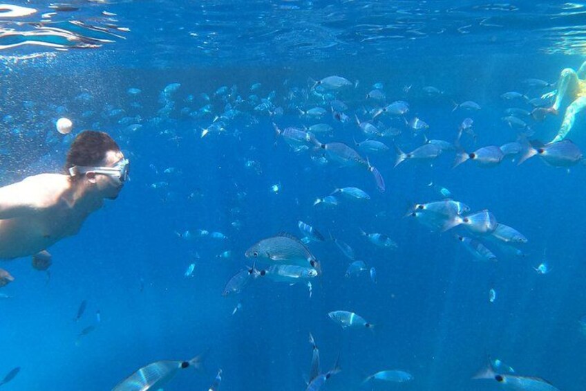 3-Hour Northwest Coast Excursion: Aquarium and Islas Margaritas 1
