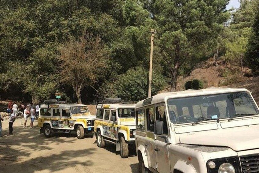 En rad safaribilar står parkerade längs en grusväg, med träd i bakgrunden. 2