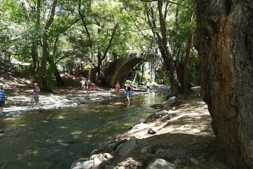Full Day Troodos Guided Safari Tour with Pick Up 2
