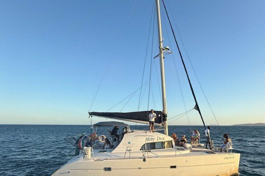 Dolphin trips on a catamaran 3