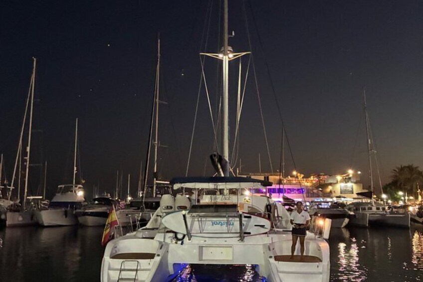 Dolphin trips on a catamaran 2