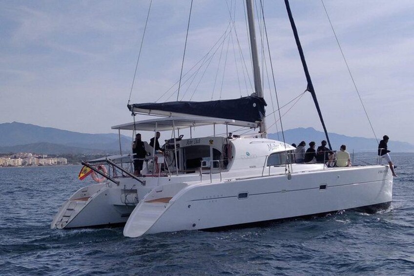 Dolphin trips on a catamaran 5