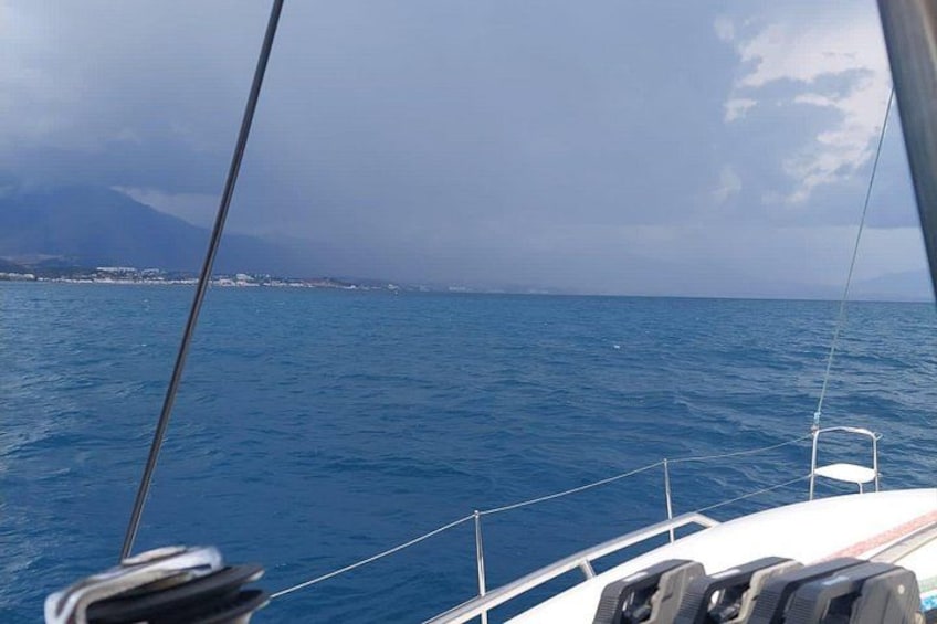 Dolphin trips on a catamaran 2
