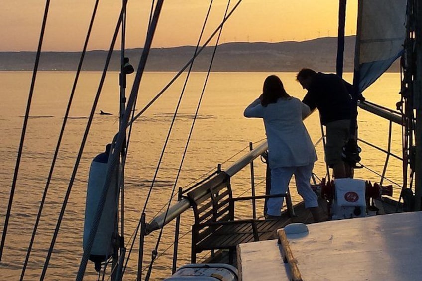 Sunset Sailing Experience in Estepona 5