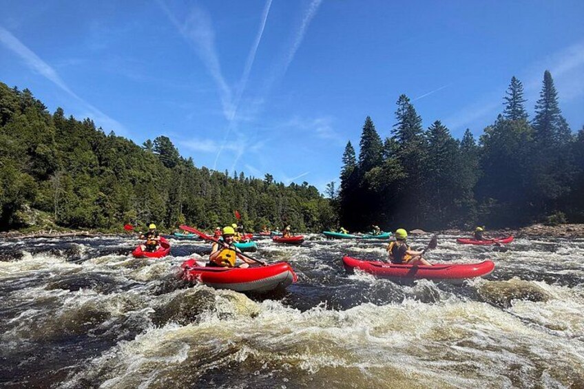 People kayaking on a river surrounded by trees. 3