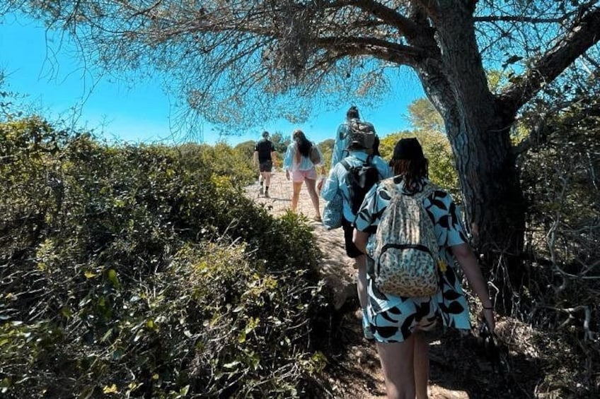 A group of people hiking on a trail surrounded by dense vegetation. 2