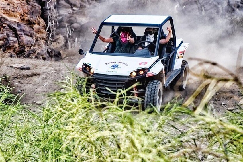 BEST BUGGY TOUR in the Afternoon with Transfers – South Area Only 3
