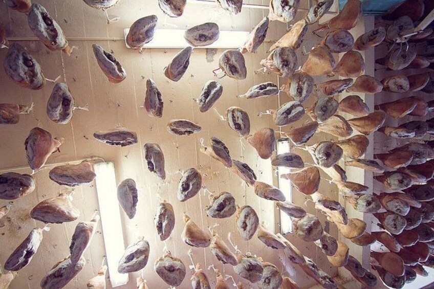 A ceiling of hundreds of IBAIALDE hams 2