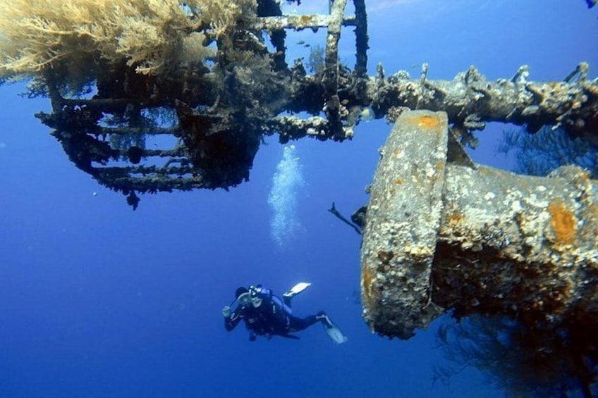 Private Scuba Diving Adventure in the Red Sea of Aqaba 3