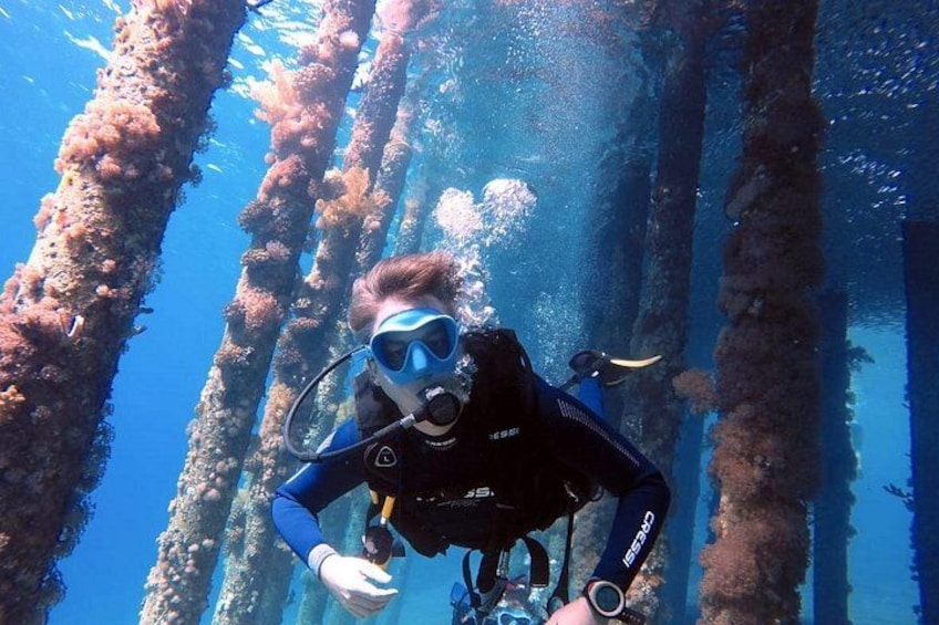 Private Scuba Diving Adventure in the Red Sea of Aqaba 1