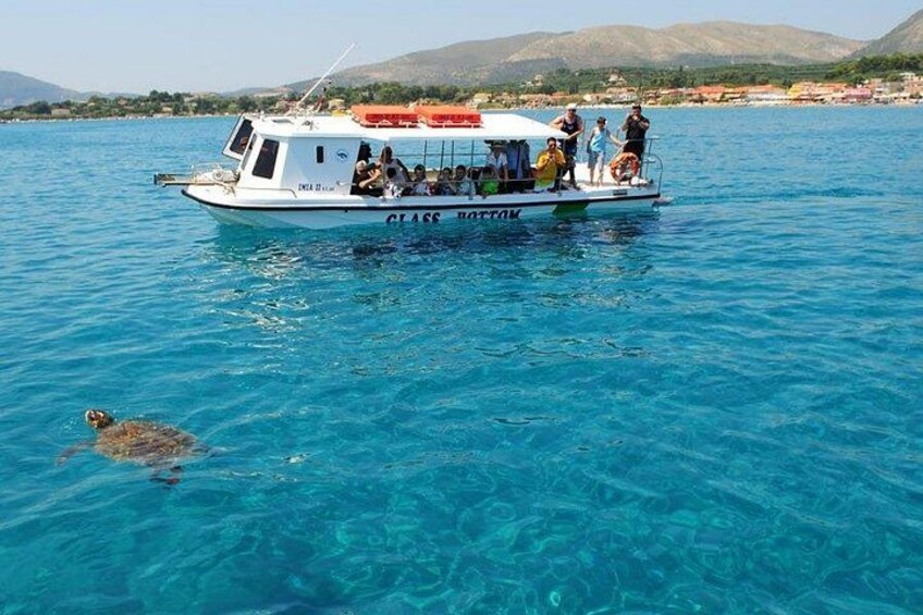 A boat with people on a clear blue sea, a turtle swimming nearby, and a mountainous landscape in the background. 3