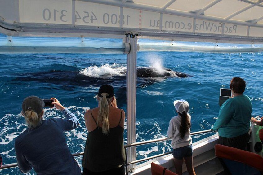 A group of people on a boat observing a whale breaching the water. 3