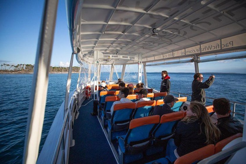 Hervey Bay Ocean Defender whale watch 3