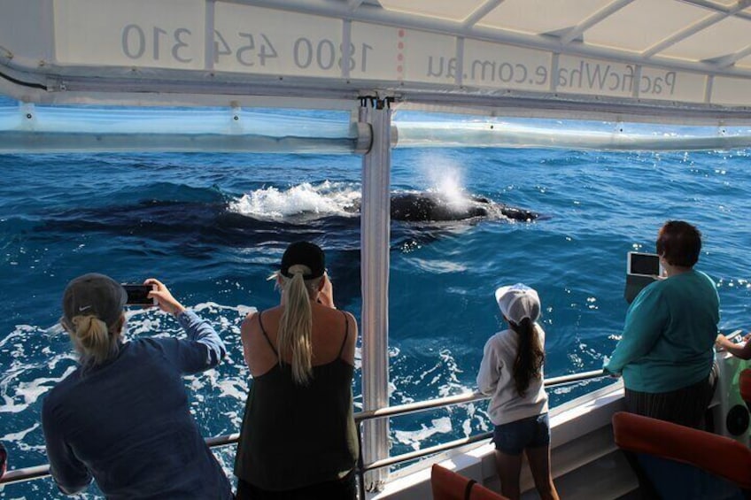 A group of people on a boat observing a whale breaching the water. 5