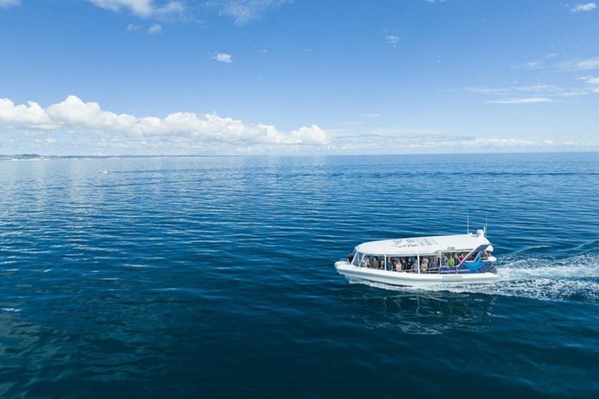 Hervey Bay Ocean Defender small-group eco tour 2
