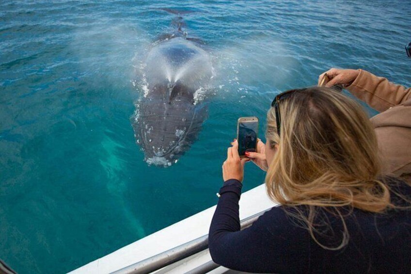 A person taking a photo of a whale breaching the water. 2