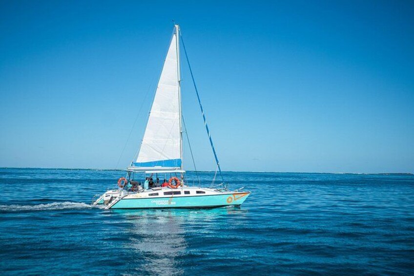 A sailboat with a white sail on a calm sea. 4