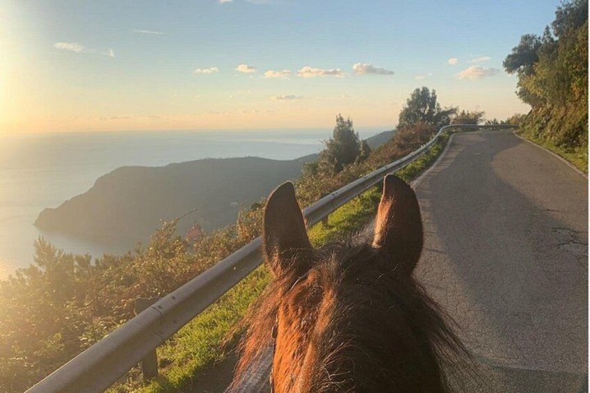 Horse ride on the coast of Monterosso al Mare Cinque Terre 2
