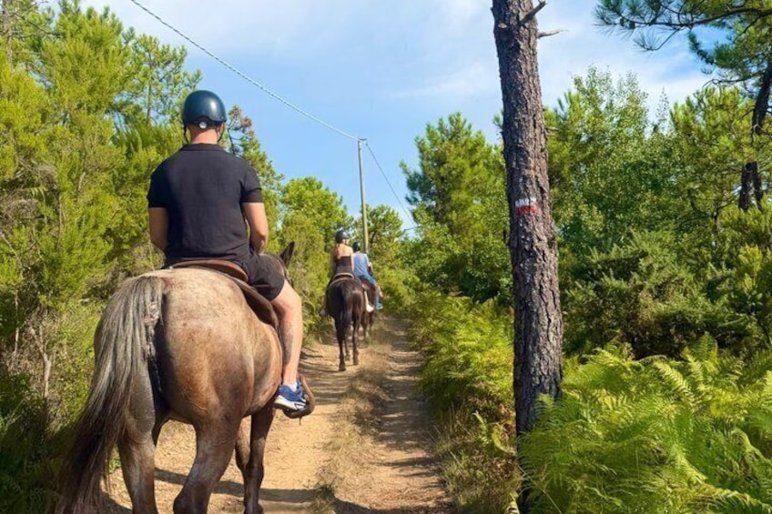 Horse ride on the coast of Monterosso al Mare Cinque Terre 3