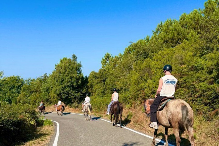 Horse ride on the coast of Monterosso al Mare Cinque Terre 2
