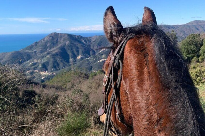 Horse ride on the coast of Monterosso al Mare Cinque Terre 1