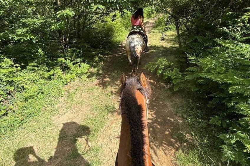 Horse ride on the coast of Monterosso al Mare Cinque Terre 5
