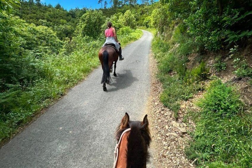 Horse ride on the coast of Monterosso al Mare Cinque Terre 4