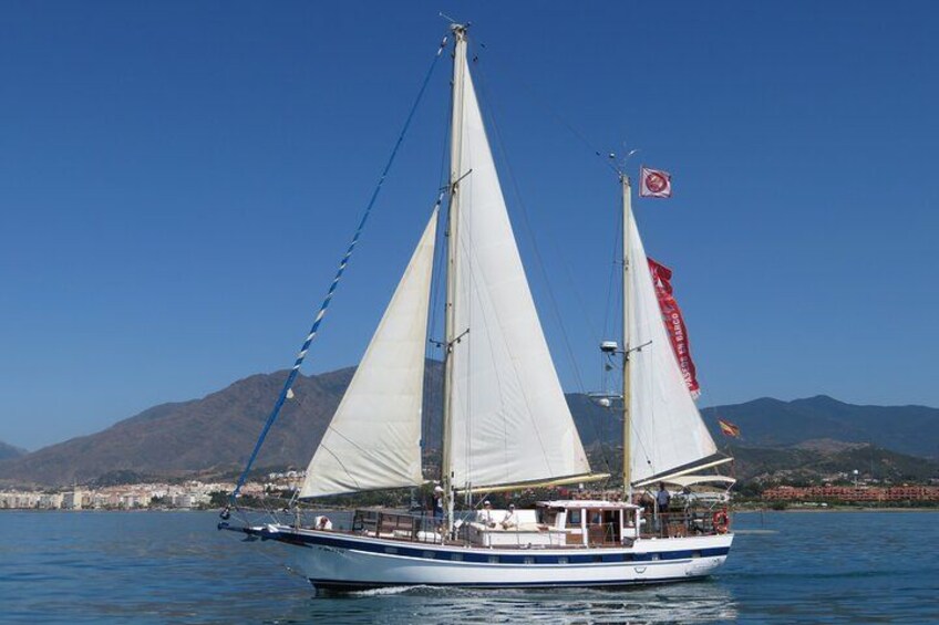 Fearless sailboat 1
