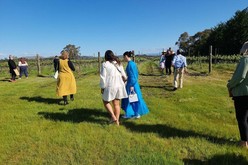 Half-Day Canberra Winery Tour /w lunch 3