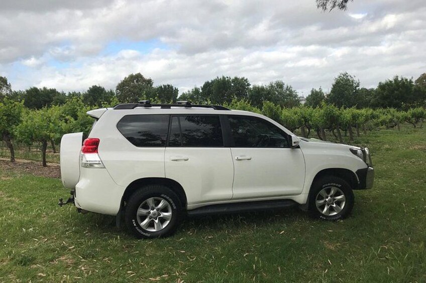A white SUV parked in a grassy field with vineyards in the background. 2