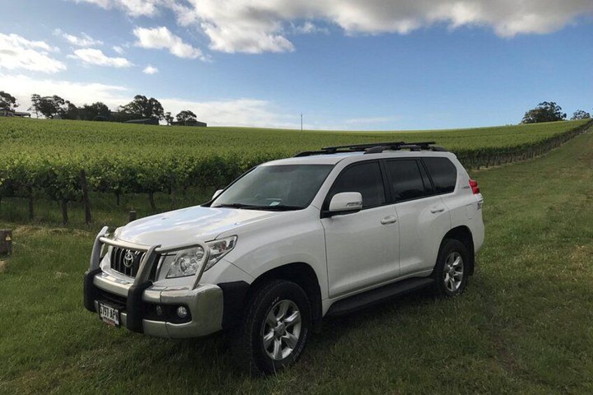 A white SUV parked on a grassy field with vineyards in the background. 3