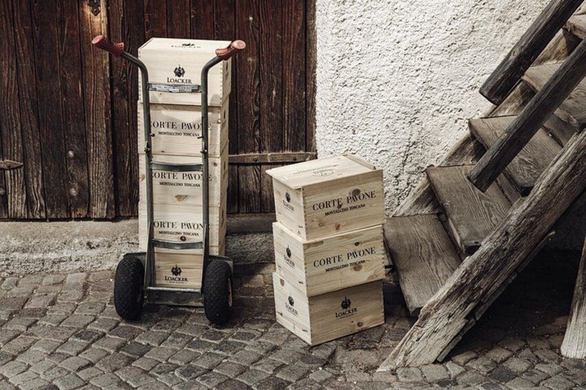 Guided winery tour with tasting in Bolzano at the SKYWINE PAVILLON 3
