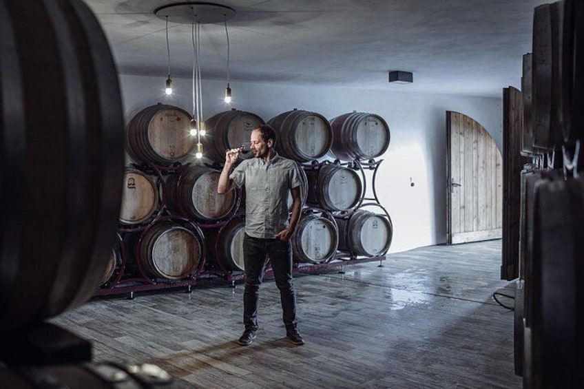 Guided winery tour with tasting in Bolzano at the SKYWINE PAVILLON 4