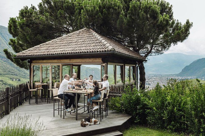 Guided winery tour with tasting in Bolzano at the SKYWINE PAVILLON 1