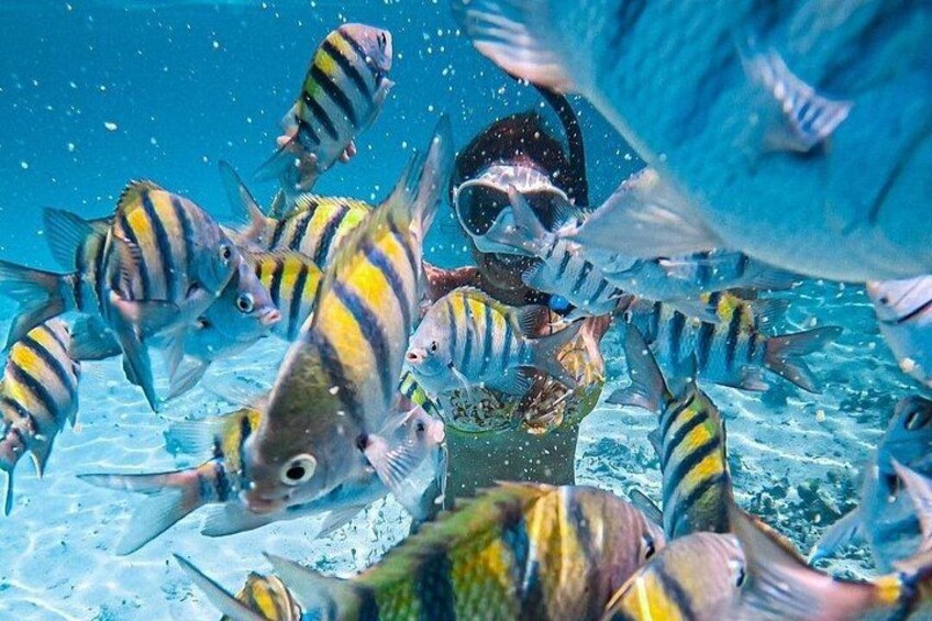 Boat and Snorkel Tour to 5 Islands of Los Arcos 3