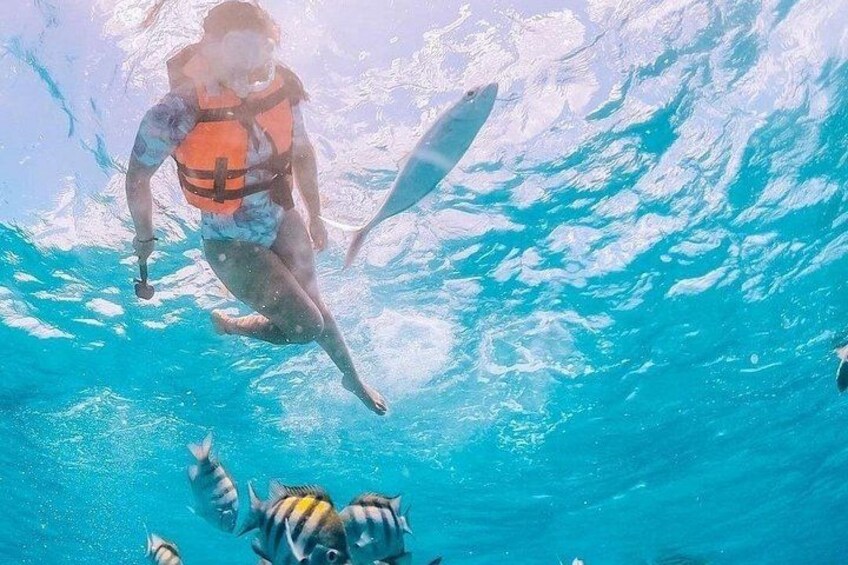 Boat and Snorkel Tour to 5 Islands of Los Arcos 3