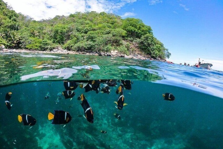 Boat and Snorkel Tour to 5 Islands of Los Arcos 4
