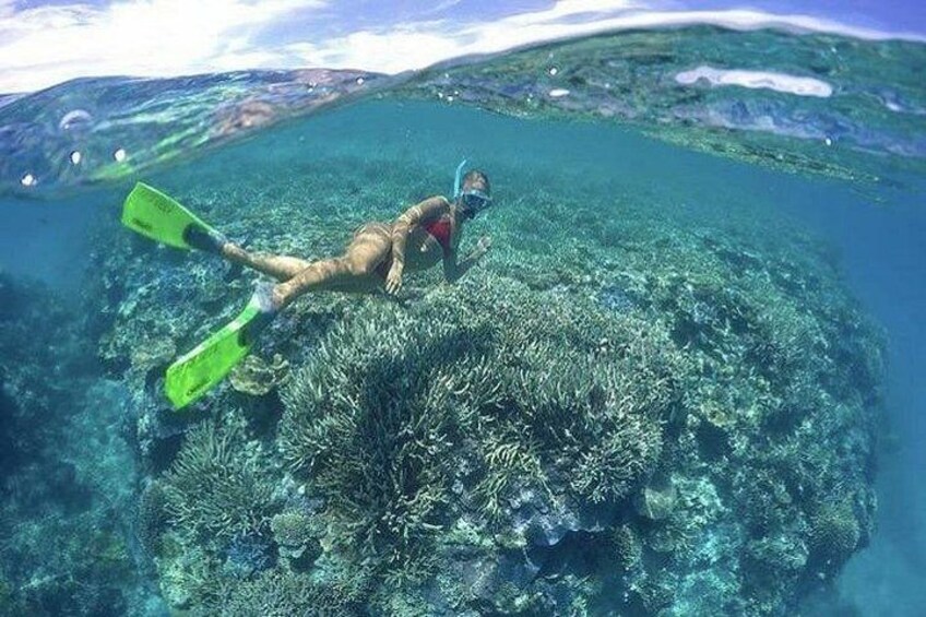 A person snorkeling near a coral reef. 2