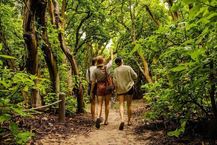 A group of people walking on a dirt path through a forested area with dense green foliage and trees. 3