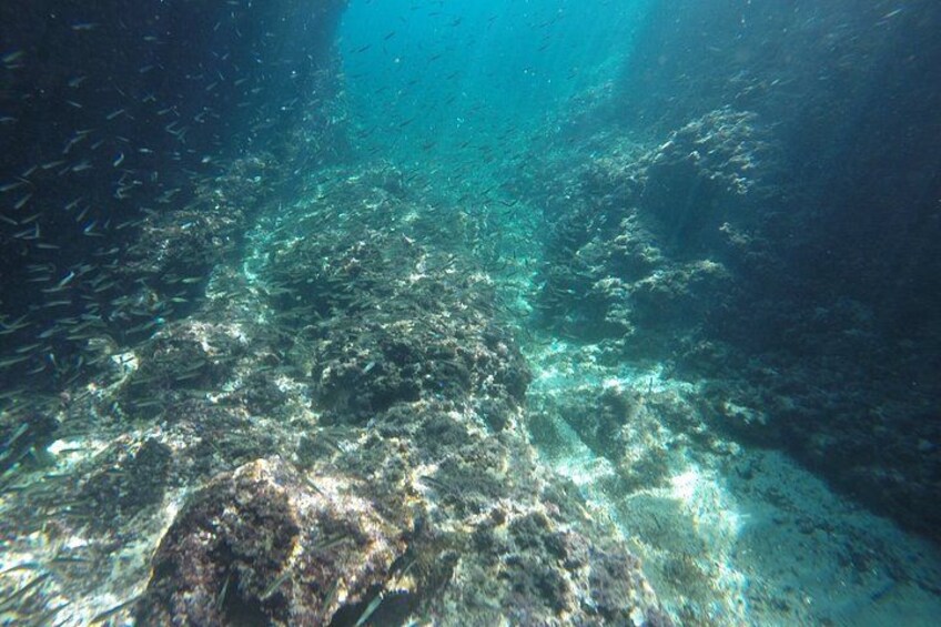 Blue & Green Cave,Sunj beach Small Group Tour with Speedboat 2